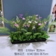 [Белые+позы, Chrysanthemum San Tail Flower] Жемчужный хлопок 1 метр*28 см.