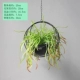 Черное кольцо Железное бассейн+2 куча красного хвоста бороды дракона