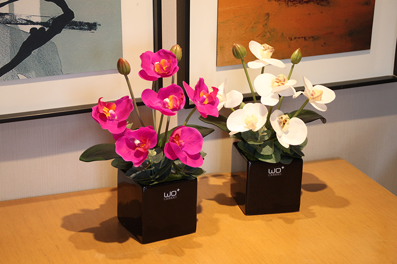 Send the PU + high simulation butterfly orchid floral suit I and contracted desktop conference decoration is seems ceramic flower pot