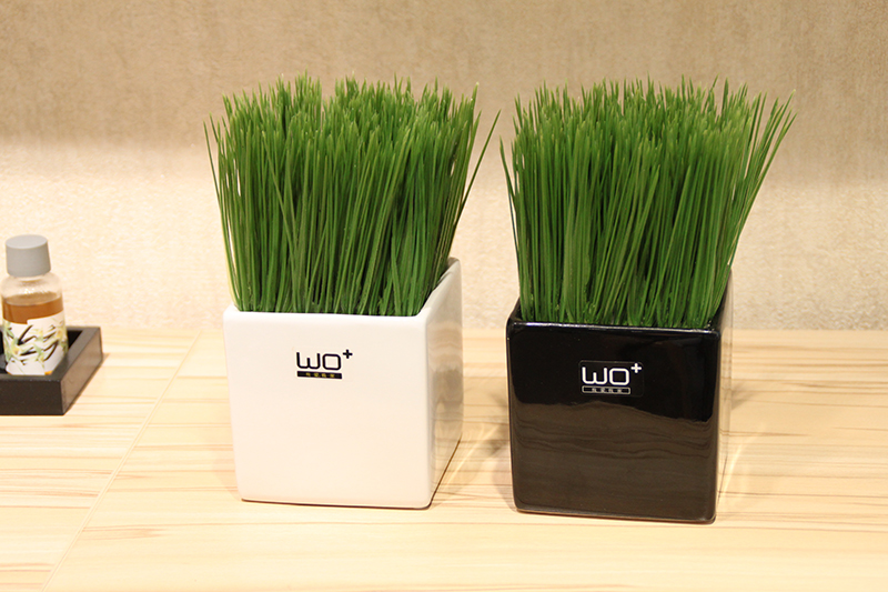 The Send + and fresh green plant potted flowers, high simulation of wheat seedlings money grass ceramic vase set decoration