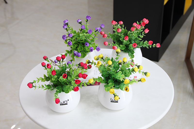 The Send + creative ceramic water infusion bag or bottle hanging vase flowerpot home furnishing articles metope adornment with simulation