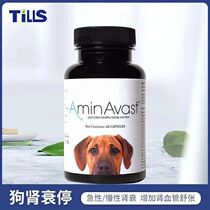 American dog amine kidney pet cat dog kidney failure stop dog chronic renal failure creatinine urea nitrogen kidney protection Shenkang