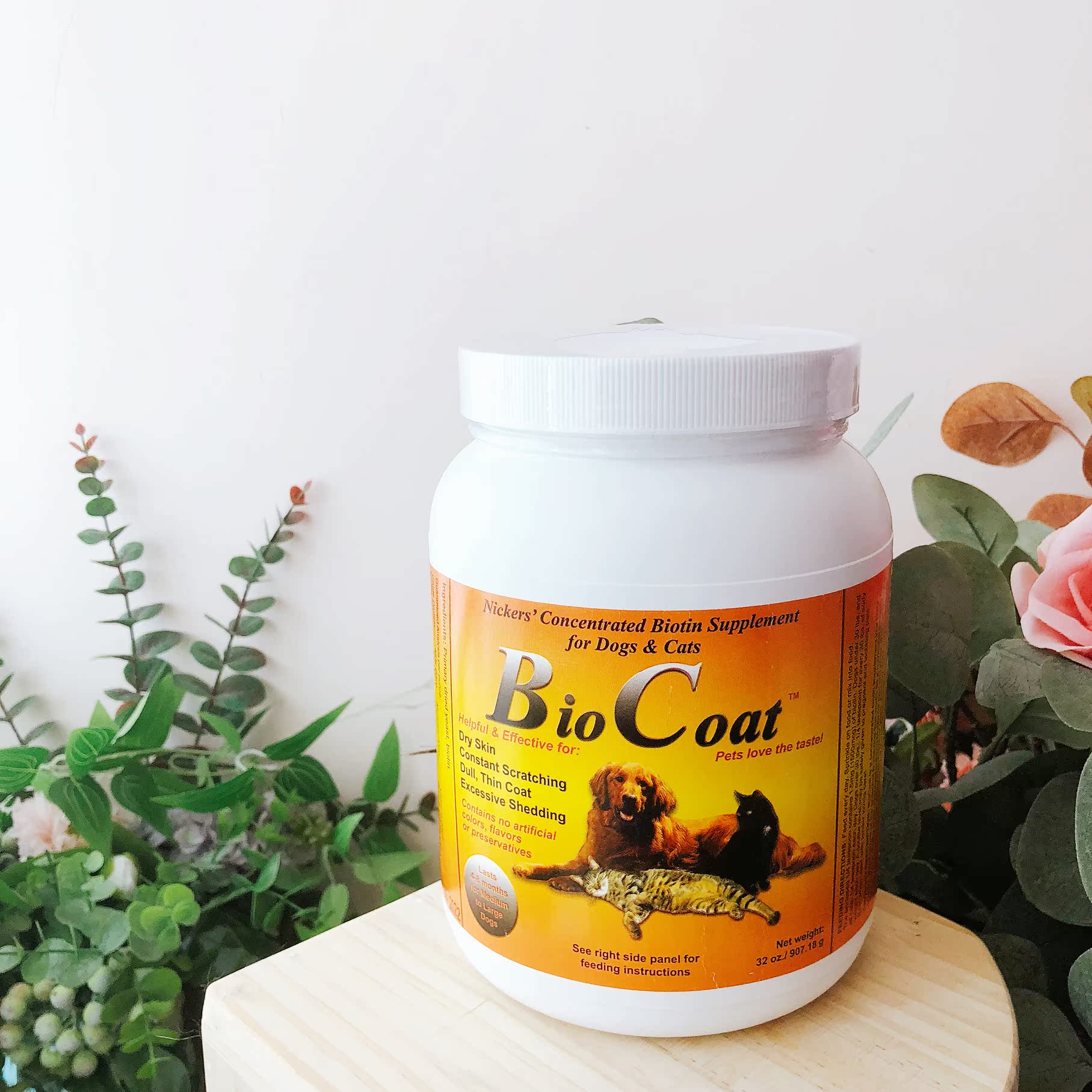 Chất lượng chủng tộc · Hoa Kỳ Bio-Coat bột làm đẹp bột lông chó mèo bột dinh dưỡng da 100g - Cat / Dog Health bổ sung Sữa cho chó con mất mẹ
