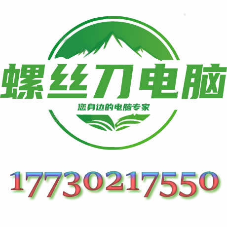 螺丝刀电脑