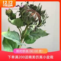 Home decoration model room clubhouse living room flower arrangement Art fake flower silk flower export single branch simulation sunflower