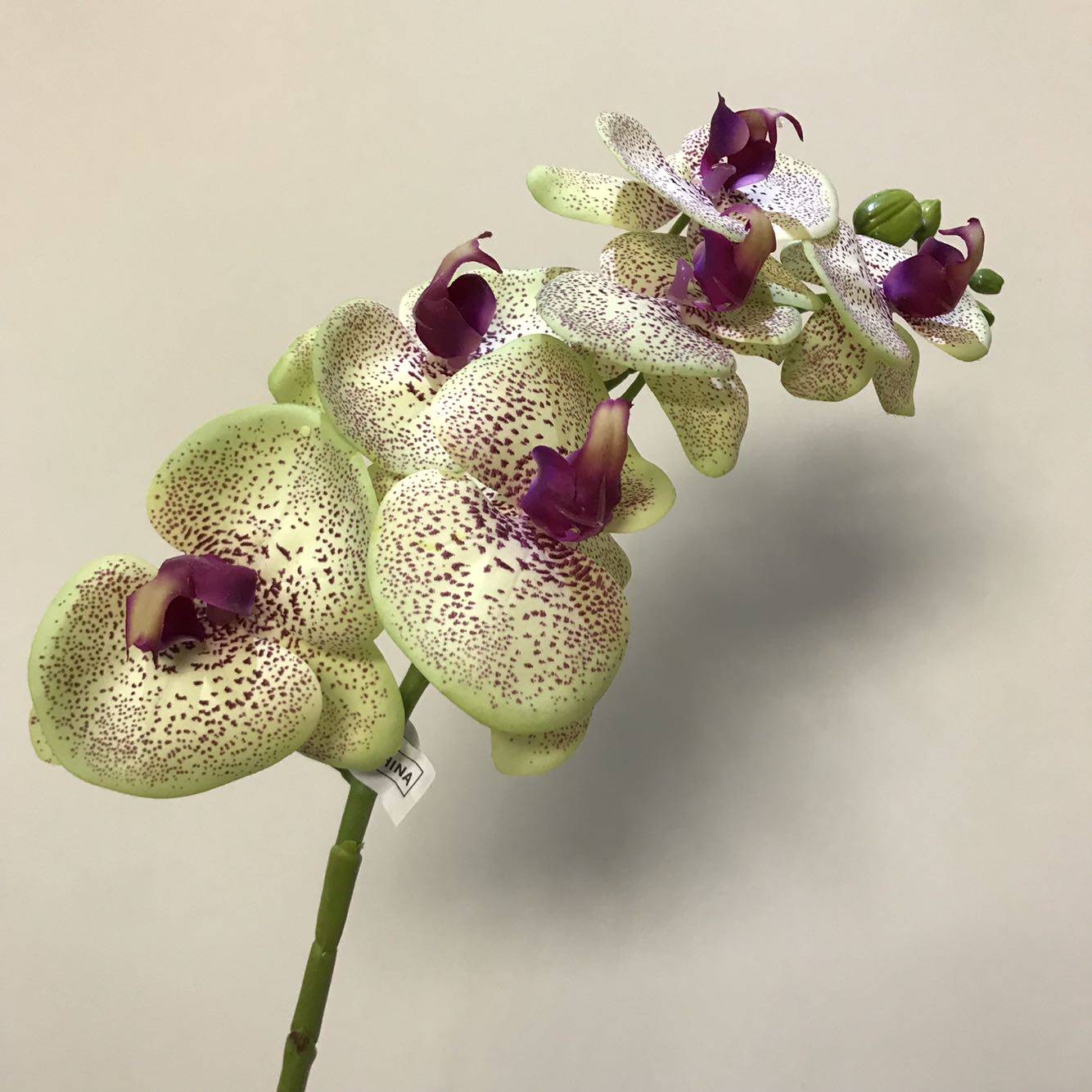Silk High Quality Export Single-branch Butterfly Orchid Household Simulation Flower Simulation Flower Simulation