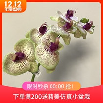 High quality export single branch hand feel Phalaenopsis home simulation fake flower silk flower orchid flower decoration