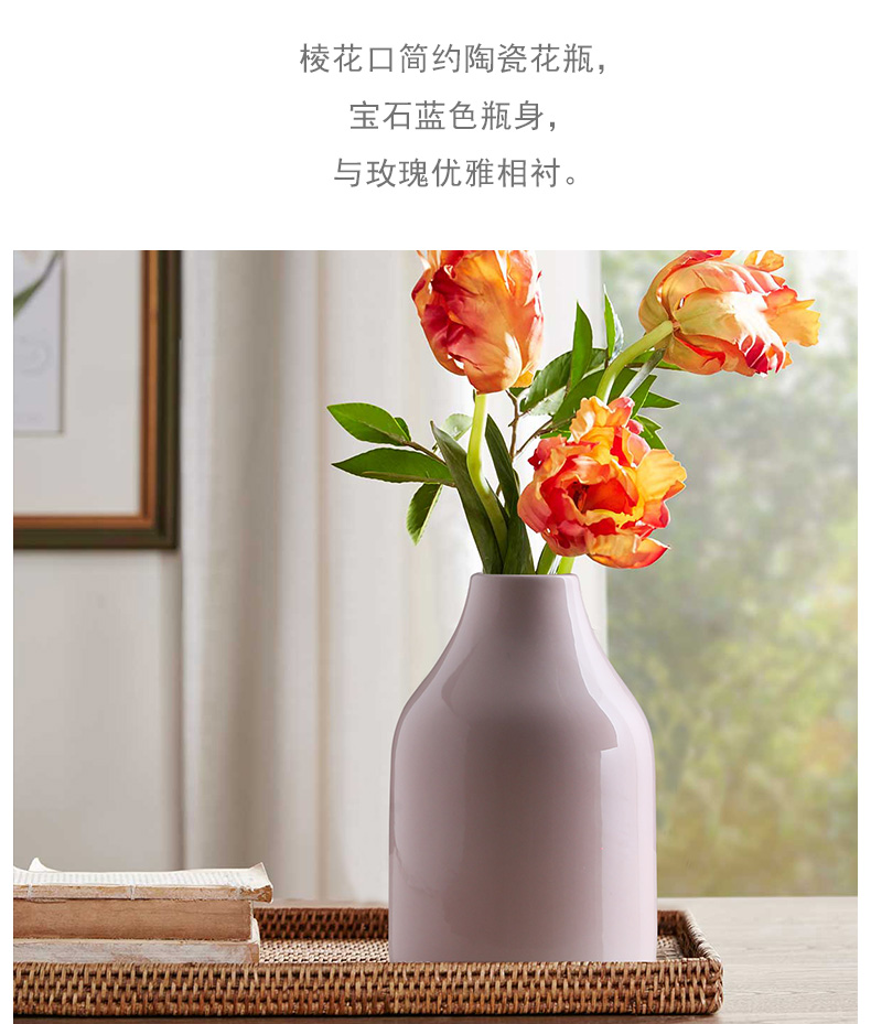 Nordic morandi ceramic marca dragon vase household living room table flower arranging place small pure and fresh and dry flower decoration