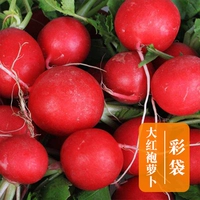 Радиша большой красной одежды