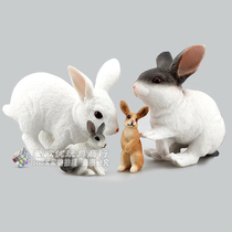 Simulation rabbit model House toy Gray rabbit static animal doll White rabbit doll Zoo toy model