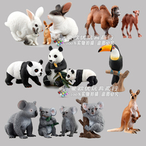 Simulation science and education animals Childrens toys Kangaroo Panda Solid plastic rabbit doll Camel Koala toy model