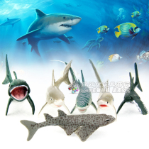 Simulation OF marine ANIMALS Shark MODEL GIANT MOUTH SHARK TOY Hammerhead SHARK BAO WEN SHARK Hammerhead SHARK Basking SHARK Whale SHARK Xidi