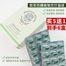 In the body of garbage Ofeisina plant aromatherapy Czech crystal ball 60 liver ingot partner promotes metabolism