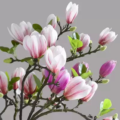 3D hand feeling Magnolia artificial flower fake flower living room decoration flower hotel club table flower set flower silk flower plastic flower