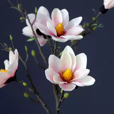 Super good-looking large handle magnolia simulation decorative flower living room floor-to-ceiling desktop simulation flower fake flower indoor flower