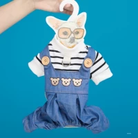 23 Новый медведь Ковбой-Спиник и осень