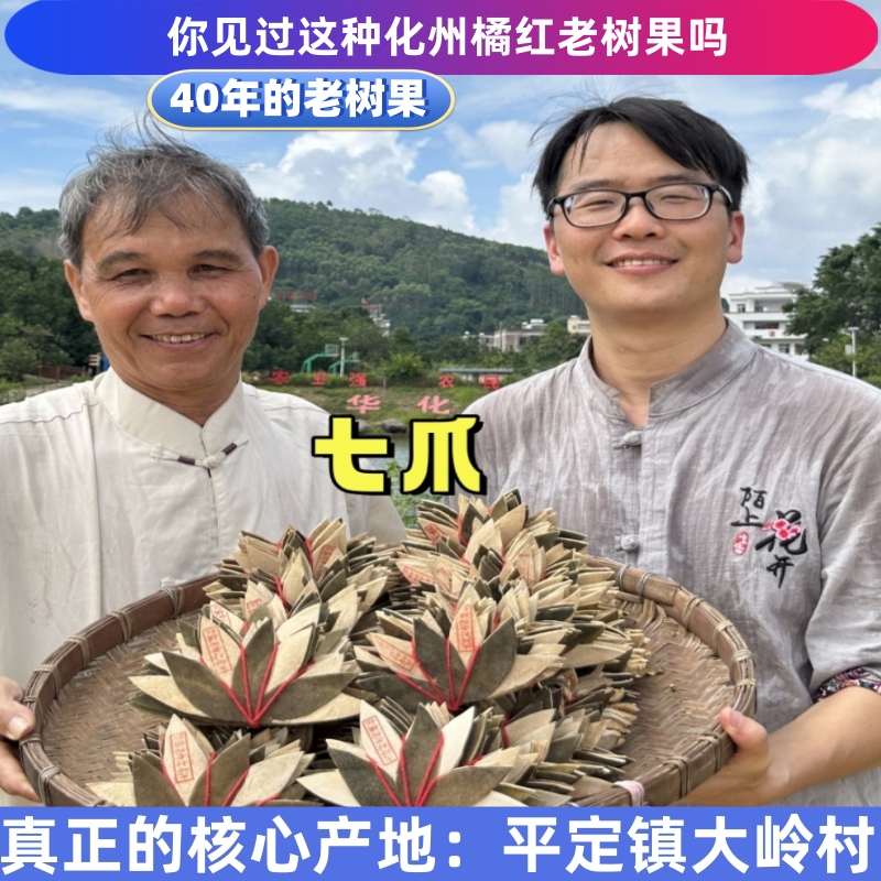 Authentic Daling Village Huazhou Orange, Aged Seven-Claw Variety from 78-Year-Old Trees, Genuine Fruit, Handmade by Farmers, Direct Supply Authentic Daling Village Huazhou Orange, Aged Seven-Claw Variety from 78-Year-Old Trees, Genuine Fruit, Handmade by Farmers, Direct Supply