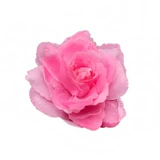 Ручная цветочная перспектива танцевальная выступление пальца цветочная дорога браслет цветочные цветы цветы декоративные декоративные декоративные декоративные виды детские танцы запястья цветы