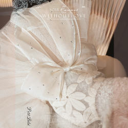 Huadofu Wedding Dress Maltese Gown for Small Bichon Frise Dogs Ragdoll Cats Princess Dress Spring and Autumn Outfit