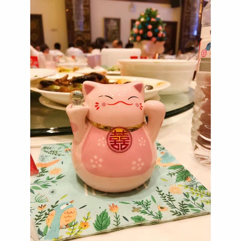 The Only Meaning of the Napkin Cushion