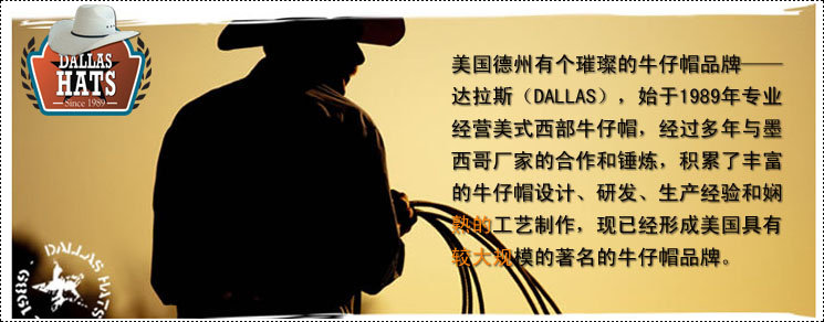 Article sports equestres  DALLAS - Ref 1387206 Image 9