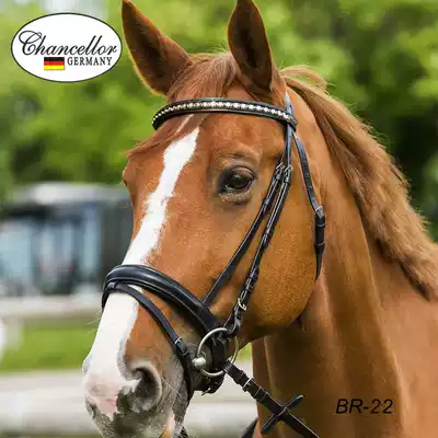 Germany imported British equestrian saddle Water leatherette cowhide bright diamond eyebrow leather Malone head rope Western giant harness