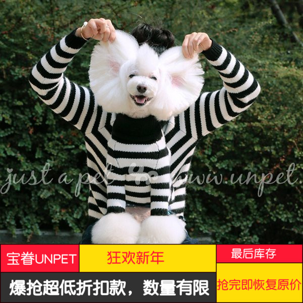 Baojuan unpet pet dog autumn and winter clothes parent-child striped turtleneck long-sleeved sweater teddy clothing pet clothing