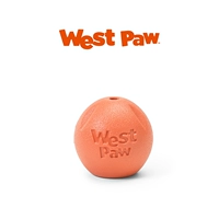 SISI Ball Cutcurder Orange S