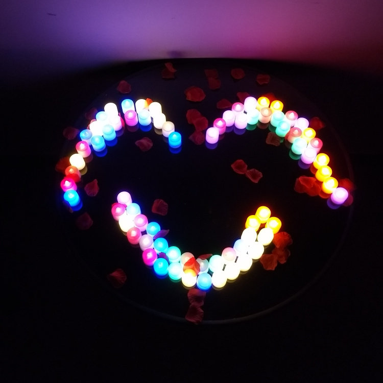 Bougie      - Ref 2487941 Image 16