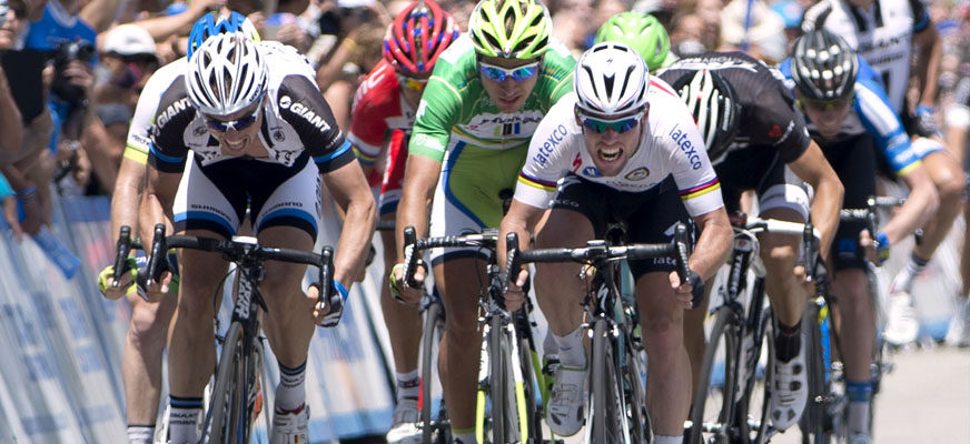 Poignées de vélo - Ref 2356527 Image 6