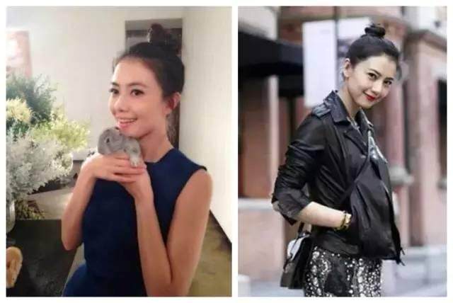 Extension cheveux - Chignon - Ref 236837 Image 8