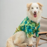 Летняя тонкая дышащая хлопковая рубашка