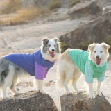 Зимняя бархатная удерживающая тепло осенняя толстовка, слюнявчик, шарф, коллекция 2023