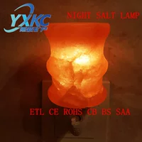 Теплый фестиваль бамбука (ящик с давлением)