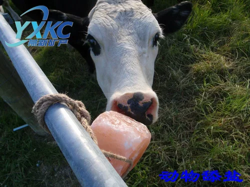 Животная пастырская соль говядина облизывает соль, импортируемая гималайская натуральная минеральная соль, облизывая лошадь, скот и овцы с кирпичной солью и солью блоками