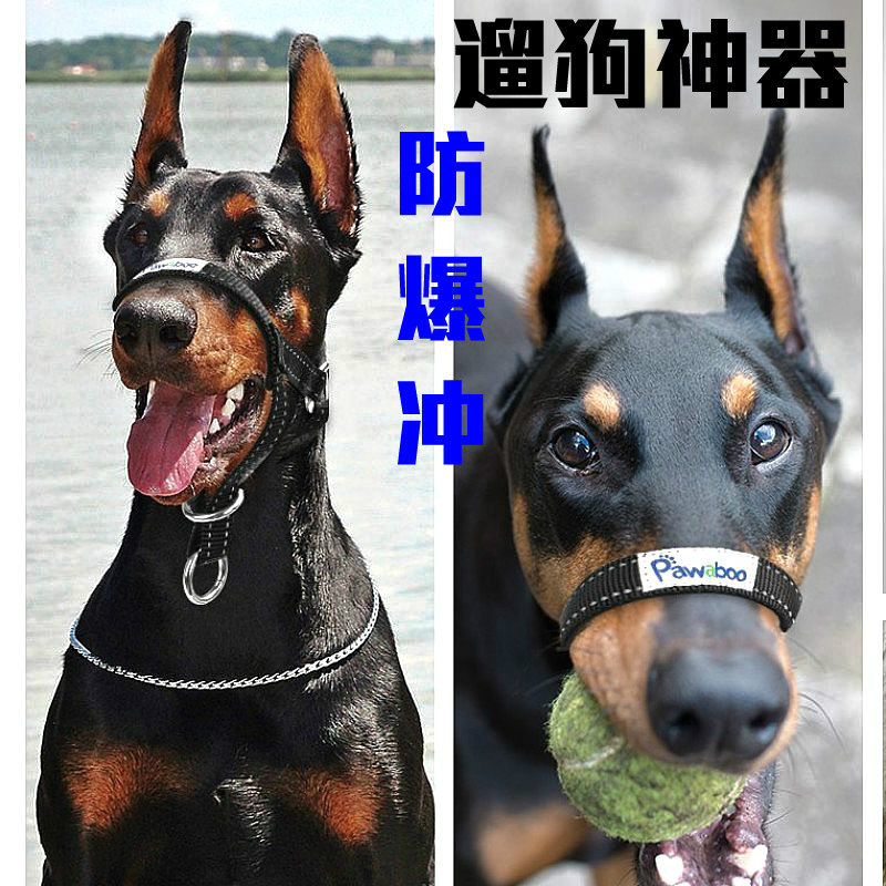Pet Walking Dog Dog God Instrumental mouth Ring Dog Mouth Rope Rope Traction Rope Explosion Protection exclusive Dubindog Germany