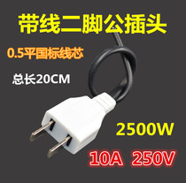 Monitoring engineering special two-pin male plug 220V power supply two-hole waterproof box two-pole pure copper two-core household