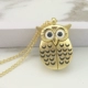 Owl -golden (Cixen Chain) Отправьте кожаную веревку