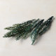 Feiyu hand-made green pine needle dried branches Christmas tree green pine branches dried aromatherapy candle wax chips decorative supplies