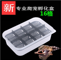 Climbing Hall recommended professional gecko lizard small crawler snake advanced hatching egg tray box reptile incubator