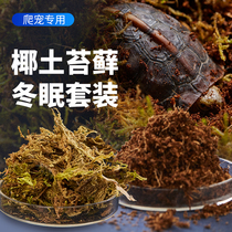 Yucui turtle hibernation supplies Moss coconut brick insulation coconut Earth special winter equipment hibernation sand pad set