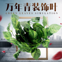 NOMO NOMO Evergreen rattan tree leaves plastic Vine ceiling home reptile box turtle box decoration