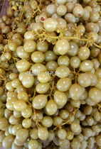 Guangxi Lingshan specialty soaked grapes pickled grapes sweet and sour appetizer sour farm homemade 1 catty