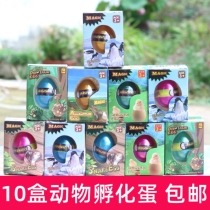 10 Animal Eggs Hatching Egg Bubble Big Expansion Deformation Water Raising Emulation Dinosaur Penguin Snake Children Creative Gift