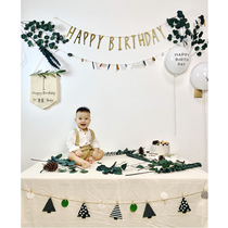ins ssen series birthday leaves dress with balloon suit background baby field park photo drawing banner lara flower props