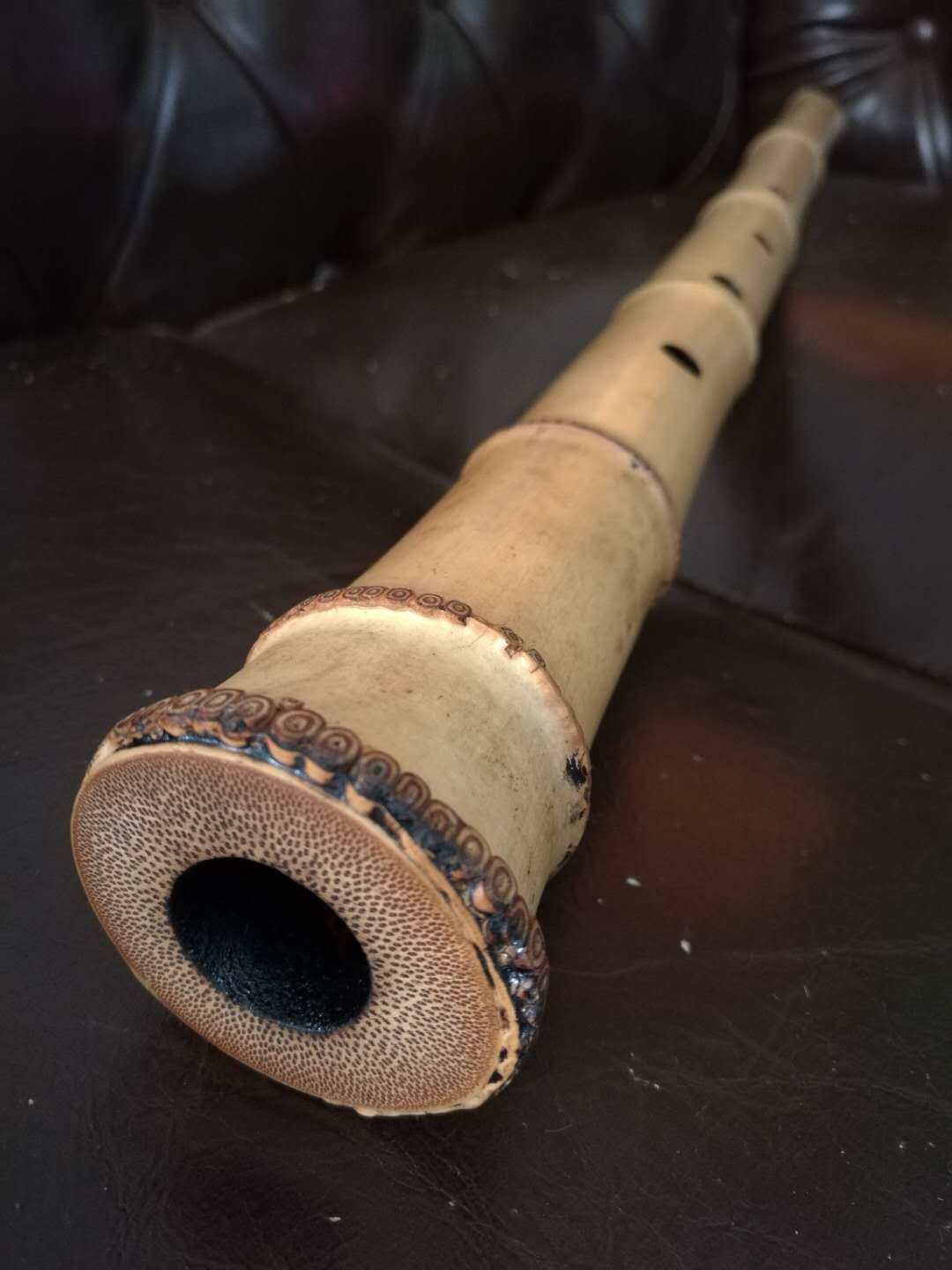 TB29ZQQj22H8KJjy1zkXXXr7pXa_!!