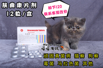 Skin Trachon Itraconazole Cat moss Milk ringworm Dog cat fungus Hair removal Dander Microsporidium bursitis Skin