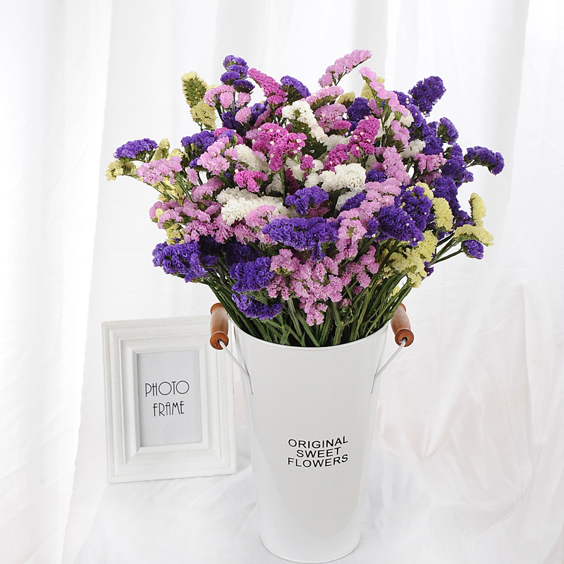 Flowers forget-me-not direct batch of fresh cut flower shop orders pink forget-me-not purple flower wedding with flower family flower arrangement