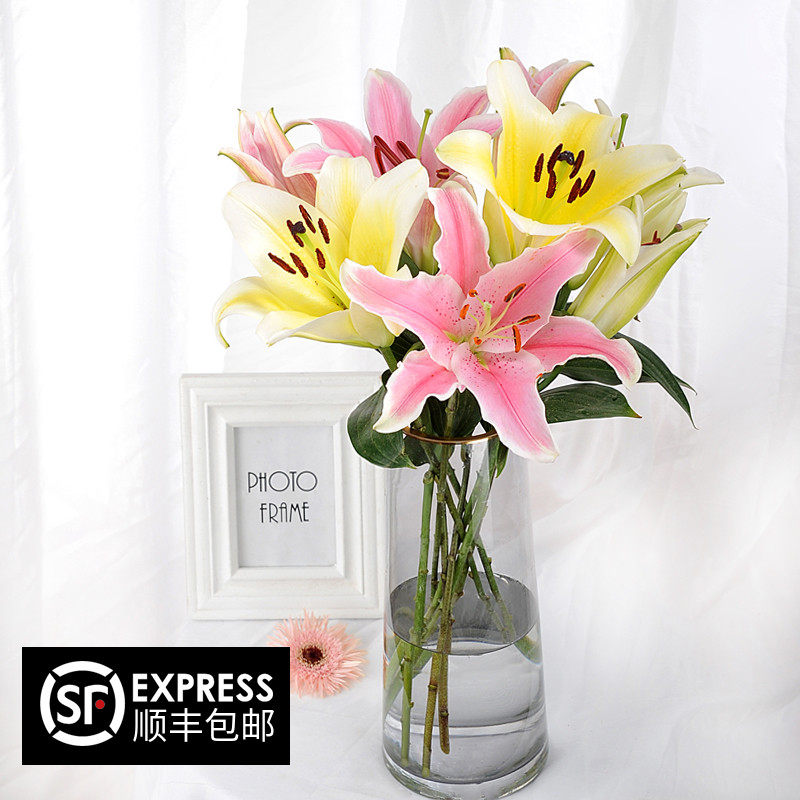 Fresh Perfume Lilies Pink Flowers White Lilies Flowers Yellow Lilies Flowers Directly Sold 10 Shipments Nationwide