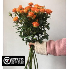 Цветы Экспресс (город) 新鲜鲜花多橙玫瑰橙玫瑰a级多橙泡泡玫瑰10支/扎空运全国 Kelsang Mei